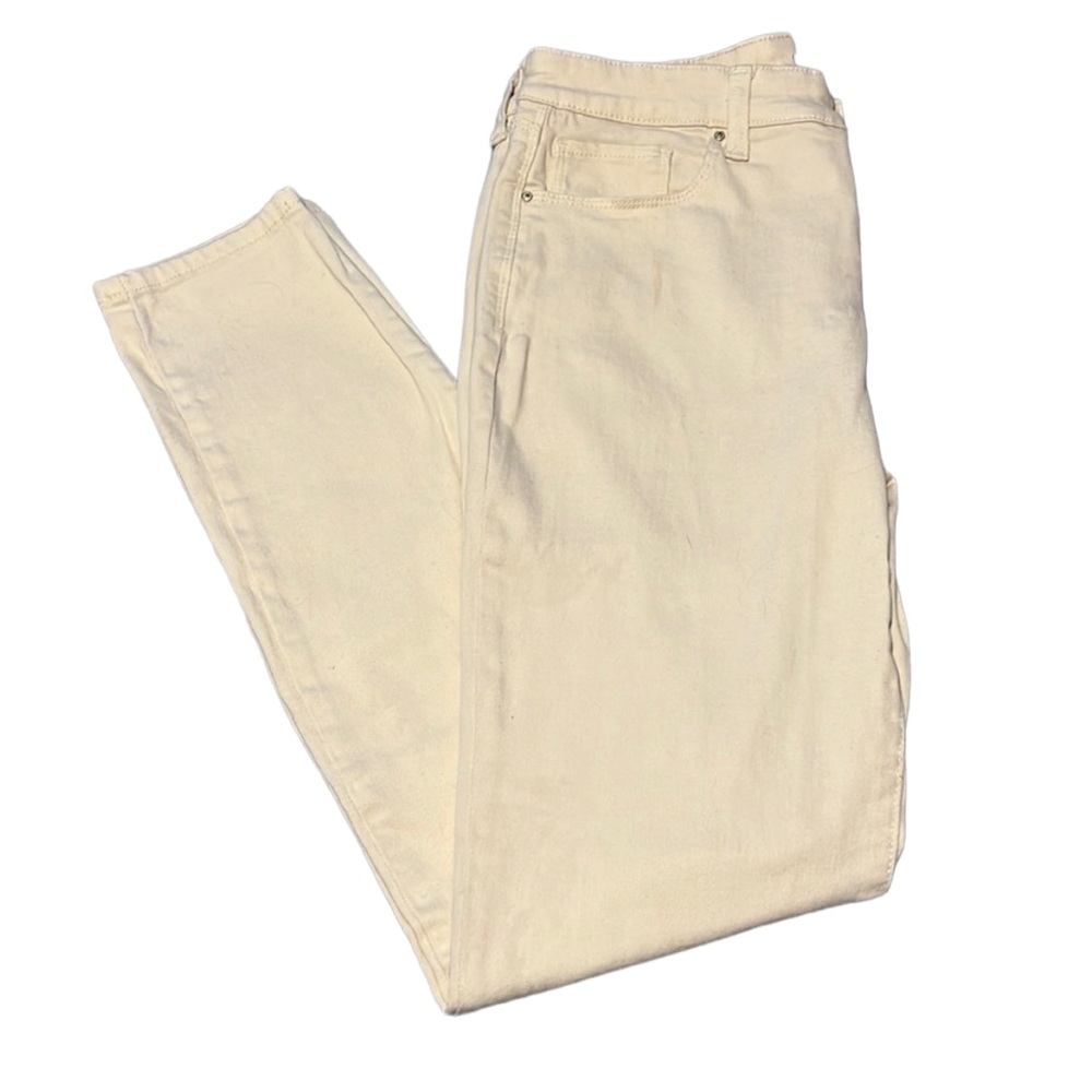 Style & Co Denim Skinny Leg Pants